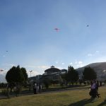 Festival de Cometas