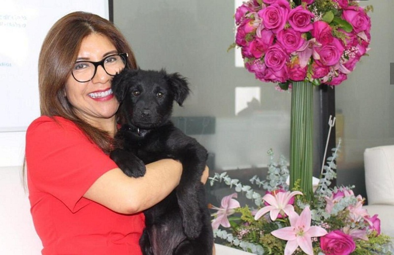 Visita a instituciones públicas que adoptaron un perro para constatar su cuidado y desarrollo