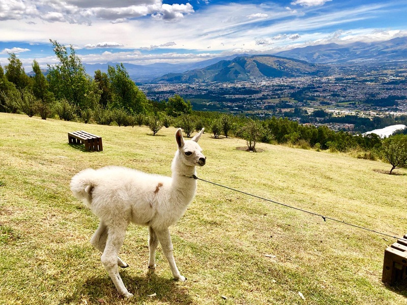 Más de 121 mil personas visitaron los parques durante el feriado
