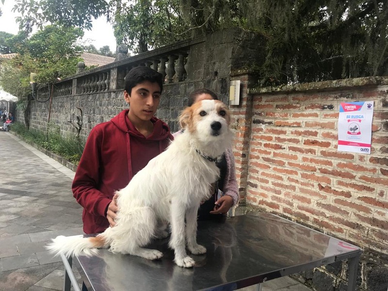 Convocatoria para vecinos activistas de la fauna urbana