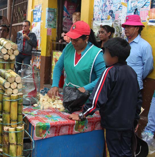 Propuesta de Ordenanza para erradicar el trabajo infantil