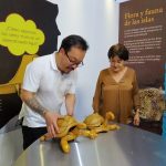 Disfrute del feriado en los museos de la ciudad