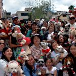Navidad Perruna