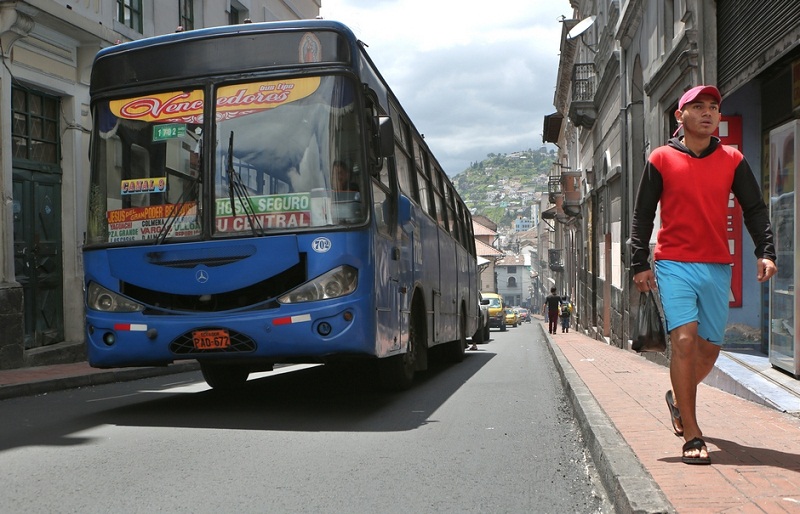 BUS