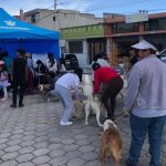 Desparacitación Comuna San Miguel del Común