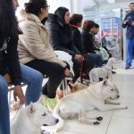 Manejo integral de fauna urbana en el DMQ