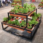 GERANIOS CALLE CHILE