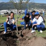 Un millón de árboles para Quito