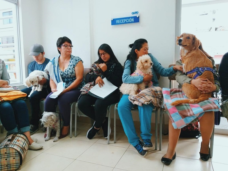 Día mundial esterilización