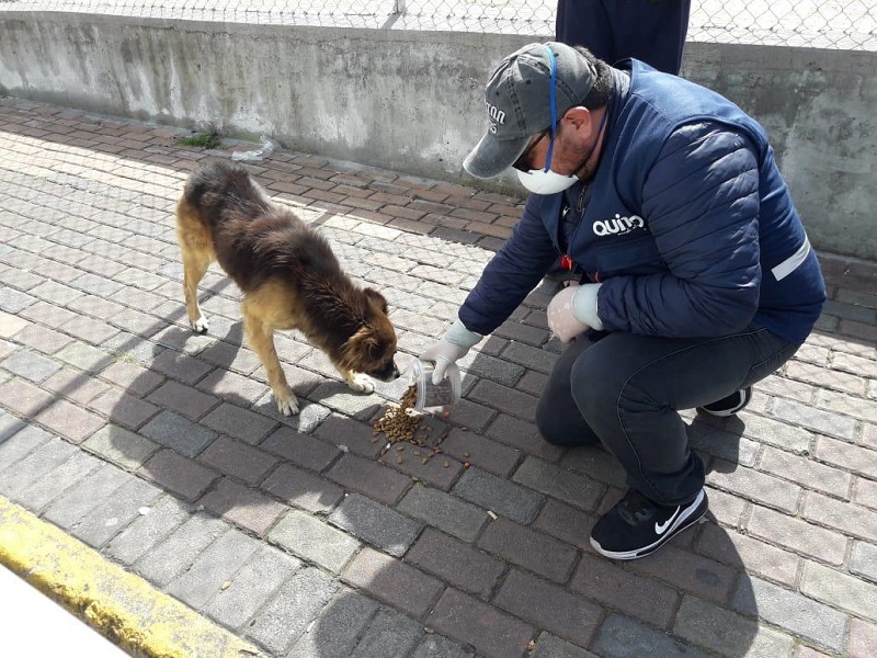 Urbanimal labora en estado de emergencia