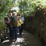Actividades del 5 al 8 de marzo
