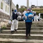 Acciones a favor de la fauna urbana