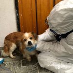Acciones a favor de la fauna urbana