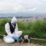 Acciones a favor de la fauna urbana