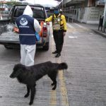 Brigadas de Atención Veterinaria