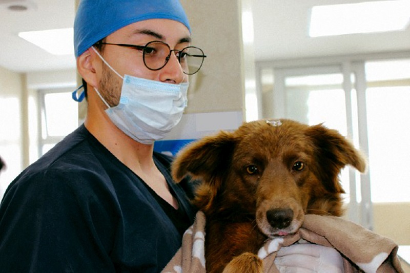 Centros Municipales de Atención Animal laboran ininterrumpidamente