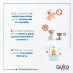 Datos del covid-19