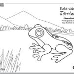 JAMBATO PARA PINTAR