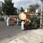 Operativos de sanitización