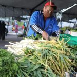 COMERCIO