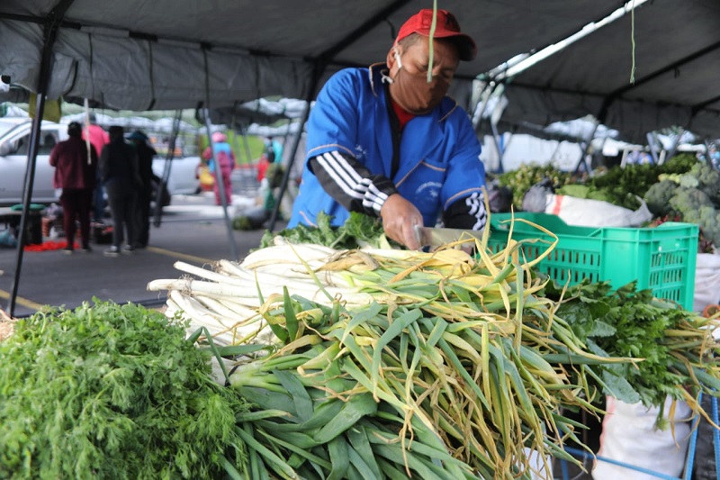 COMERCIO