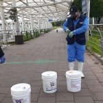 Plan para animales en espacio público
