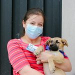 Urbanimal ejecuta campaña virtual de adopción