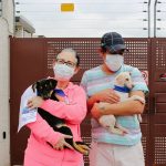 Urbanimal ejecuta campaña virtual de adopción