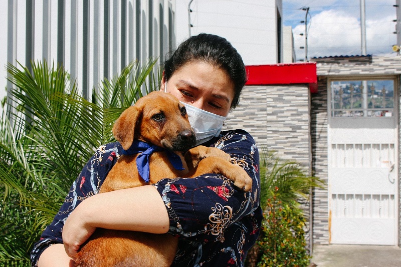 Urbanimal ejecuta campaña virtual de adopción