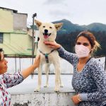 Campaña adopta a tu mejor amigo