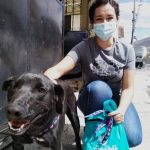 Adopción Negrita