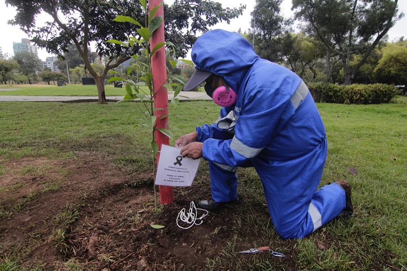 Homenaje a soldados azules