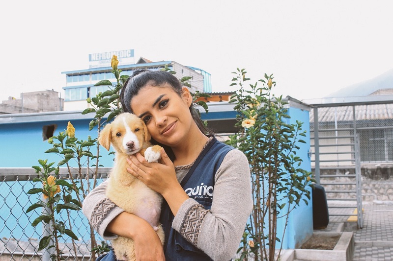 Séptimo folleto de adopciones