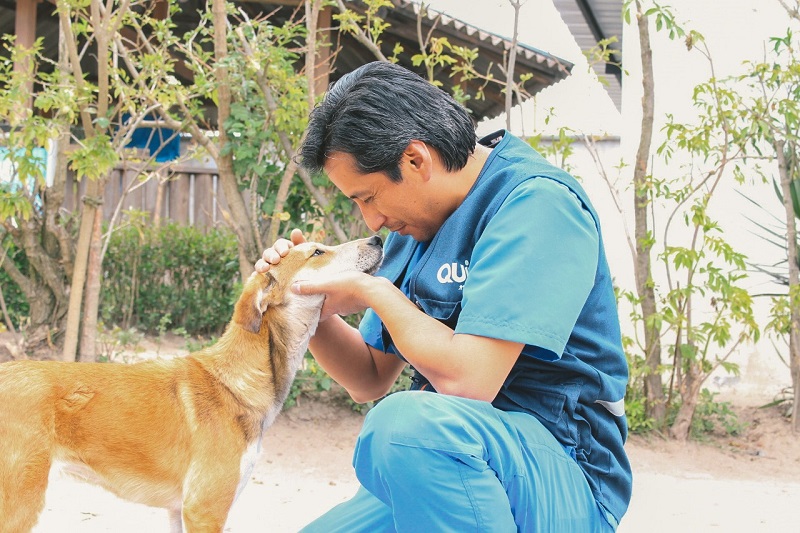Día Mundial de los Animales