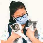 Día del Médico Veterinario