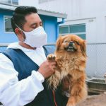 Día del Médico Veterinario