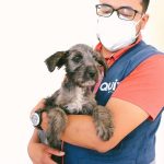 Día del Médico Veterinario