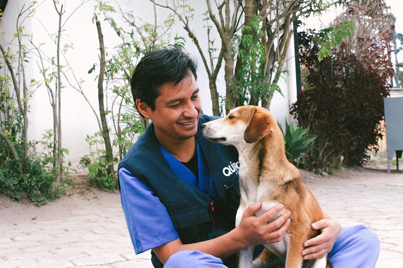 Día del Médico Veterinario