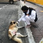 Estrategia AES en la vía