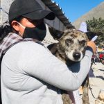 Estrategia de esterilización DMQ