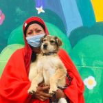 Campaña esterilización sur de Quito