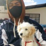 Campaña esterilización sur de Quito