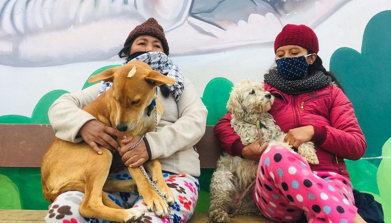 Campaña esterilización sur de Quito