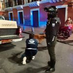 Control fauna urbana centro