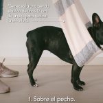 No a la pirotecnia