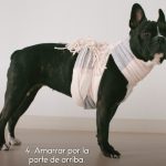 No a la pirotecnia