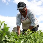 Obras Yaruquí y Tababela