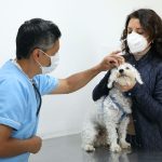 Esterilizaciones Calderón y El Calzado