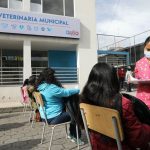 Esterilizaciones Calderón y El Calzado