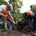 Arborización Parque Metropolitano del Sur